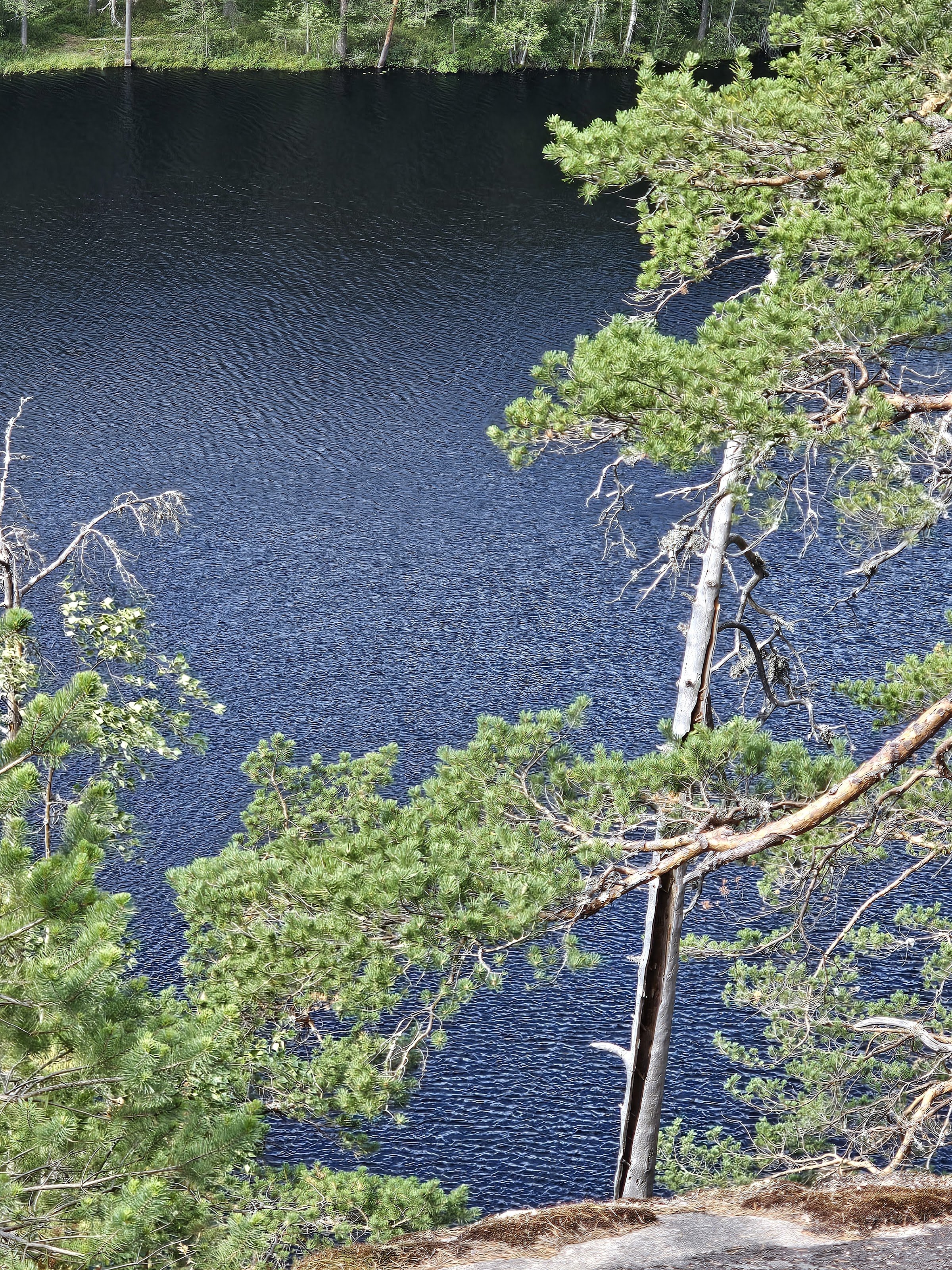 Olhavan laavu (Olhava campfire shelter) - Repovesi National Park